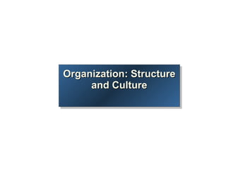 Organization: Structure and Culture 