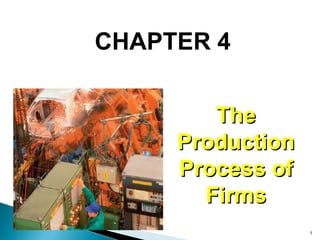 CHAPTER 4 The Production Process of Firms 