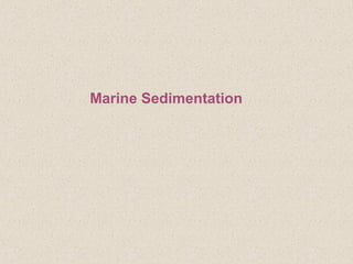 Marine Sedimentation
 