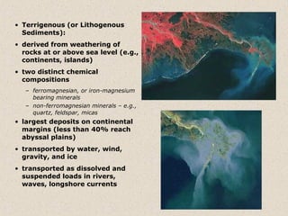 • Terrigenous (or Lithogenous
  Sediments):
• derived from weathering of
  rocks at or above sea level (e.g.,
  continents, islands)
• two distinct chemical
  compositions
   – ferromagnesian, or iron-magnesium
     bearing minerals
   – non-ferromagnesian minerals – e.g.,
     quartz, feldspar, micas
• largest deposits on continental
  margins (less than 40% reach
  abyssal plains)
• transported by water, wind,
  gravity, and ice
• transported as dissolved and
  suspended loads in rivers,
  waves, longshore currents
 
