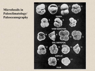 Microfossils in
Paleoclimatology/
Paleoceanography
 