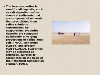 • The term evaporites is
  used for all deposits, such
  as salt deposits, mainly
  chemical sediments that
  are composed of minerals
  that precipitated from
  saline solutions
  concentrated by
  evaporation. Evaporite
  deposits are composed
  dominantly of varying
  proportions of halite (rock
  salt) (NaCl), anhydrite
  (CaSo4) and gypsum
  (CaSo4.2H2O). Evaporites
  may be classified as
  chlorides, sulfates or
  carbonates on the basis of
  their chemical composition
  (Tucker, 1991).
 