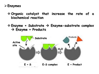  Enzymes
 Organic catalyst that increase the rate of a
biochemical reaction
 Enzyme + Substrate  Enzyme-substrate complex
 Enzyme + Products
Substrate
Active
site
H2O
E + S E-S complex E + Product
 