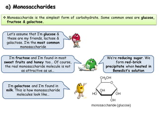  Monosaccharide is the simplest form of carbohydrate. Some common ones are glucose,
fructose & galactose.
Let’s assume that I’m glucose &
these are my friends, lactose &
galactose. I’m the most common
monosaccharide
I’m fructose and I’m found in most
sweet fruits and honey too… Of course,
the real monosaccharide molecule is not
as attractive as us…
I’m galactose and I’m found in
milk. This is how monosaccharide
molecules look like…
We’re reducing sugar. We
form red-brick
precipitate when heated in
Benedict’s solution
a) Monosaccharides
 