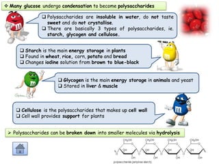  Cellulose is the polysaccharides that makes up cell wall
 Cell wall provides support for plants
 Many glucose undergo condensation to become polysaccharides
 Polysaccharides are insoluble in water, do not taste
sweet and do not crystallise.
 There are basically 3 types of polysaccharides, ie.
starch, glycogen and cellulose.
 Starch is the main energy storage in plants
 Found in wheat, rice, corn, potato and bread
 Changes iodine solution from brown to blue-black
 Glycogen is the main energy storage in animals and yeast
 Stored in liver & muscle
 Polysaccharides can be broken down into smaller molecules via hydrolysis
 