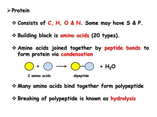  Protein
 Consists of C, H, O & N. Some may have S & P.
 Building block is amino acids (20 types).
 Amino acids joined together by peptide bonds to
form protein via condensation
2 amino acids dipeptide
+ H2O
 Many amino acids bind together form polypeptide
 Breaking of polypeptide is known as hydrolysis
 