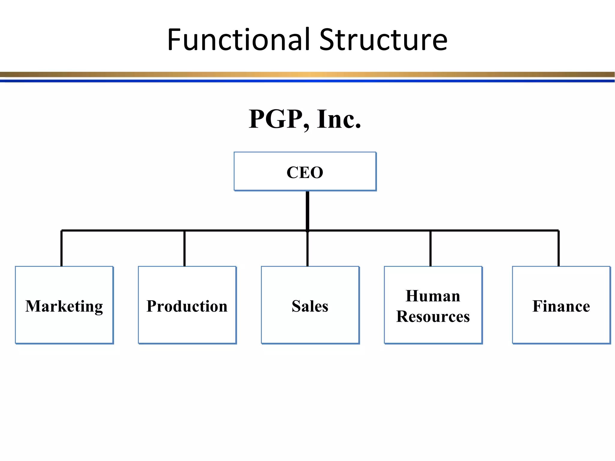 Functional Structure
PGP, Inc.
CEOCEO
MarketingMarketing FinanceFinanceSalesSalesProductionProduction
Human
Resources
Human
Resources
 