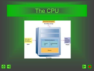 The CPU
 
