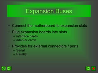 Expansion Buses
• Connect the motherboard to expansion slots
• Plug expansion boards into slots
– interface cards
– adapter cards
• Provides for external connectors / ports
– Serial
– Parallel
 