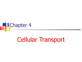 Chapter 4  Cellular Transport 