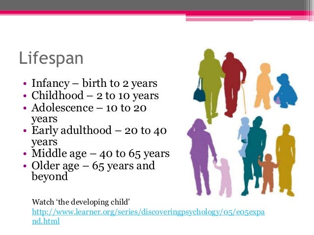 Chap 4 lifespan development 2012