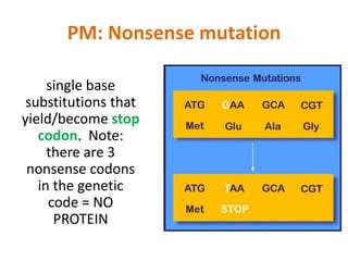 MIC150 - Chap 4 Mutation | PPTX