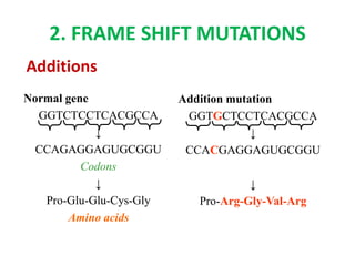 MIC150 - Chap 4 Mutation | PPTX