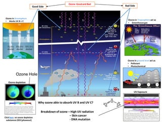 Ozone Goodand Bad
Good Side Bad Side
Ozone in Strastophere
• blocks UV B + C
Ozone in Troposphere act as
• Greenhouse gas
Ozone in ground level act as
• Pollutant
• Photochemical
Click here on ozone depletion
substances ODS (phaseout)
Why ozone able to absorb UV B and UV C?
Breakdown of ozone – High UV radiation
– Skin cancer
- DNA mutation
Ozone depletion
UV Exposure
Ozone Hole
 