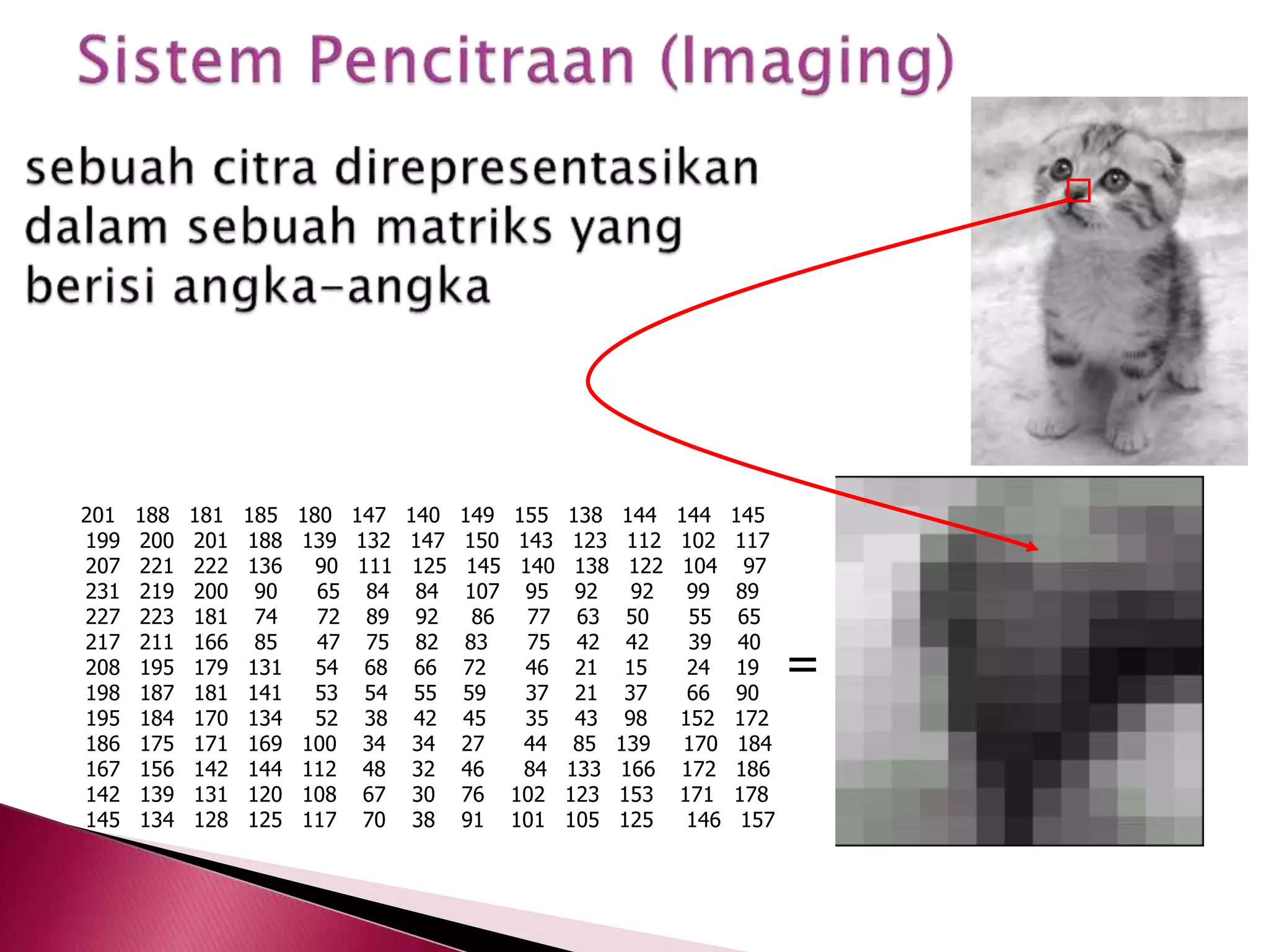 201 188 181 185 180 147 140 149 155 138 144 144 145 
199 200 201 188 139 132 147 150 143 123 112 102 117 
207 221 222 136 90 111 125 145 140 138 122 104 97 
231 219 200 90 65 84 84 107 95 92 92 99 89 
227 223 181 74 72 89 92 86 77 63 50 55 65 
217 211 166 85 47 75 82 83 75 42 42 39 40 
208 195 179 131 54 68 66 72 46 21 15 24 19 
198 187 181 141 53 54 55 59 37 21 37 66 90 
195 184 170 134 52 38 42 45 35 43 98 152 172 
186 175 171 169 100 34 34 27 44 85 139 170 184 
167 156 142 144 112 48 32 46 84 133 166 172 186 
142 139 131 120 108 67 30 76 102 123 153 171 178 
145 134 128 125 117 70 38 91 101 105 125 146 157 
= 
 