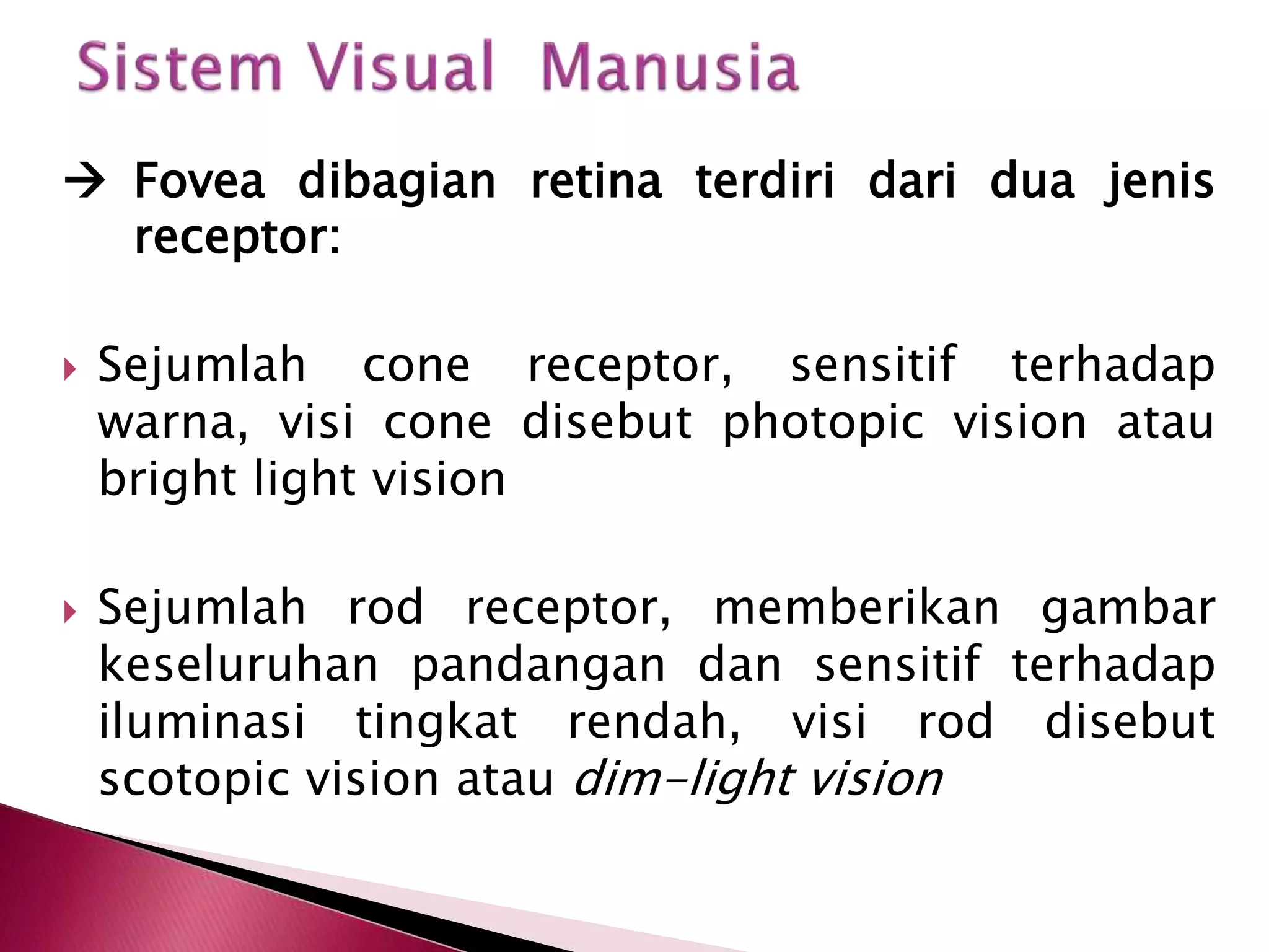  Fovea dibagian retina terdiri dari dua jenis 
receptor: 
 Sejumlah cone receptor, sensitif terhadap 
warna, visi cone disebut photopic vision atau 
bright light vision 
 Sejumlah rod receptor, memberikan gambar 
keseluruhan pandangan dan sensitif terhadap 
iluminasi tingkat rendah, visi rod disebut 
scotopic vision atau dim-light vision 
 