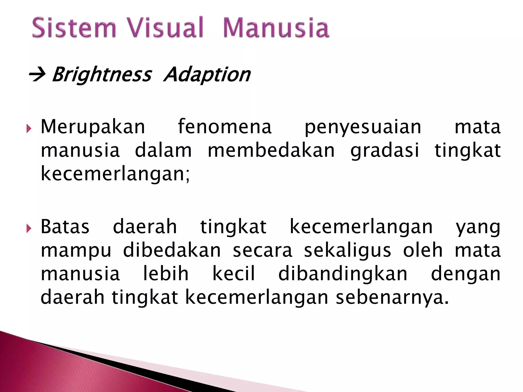  Brightness Adaption 
 Merupakan fenomena penyesuaian mata 
manusia dalam membedakan gradasi tingkat 
kecemerlangan; 
 Batas daerah tingkat kecemerlangan yang 
mampu dibedakan secara sekaligus oleh mata 
manusia lebih kecil dibandingkan dengan 
daerah tingkat kecemerlangan sebenarnya. 
 
