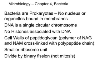 Microbiology – Chapter 4, Bacteria
Bacteria are Prokaryotes – No nucleus or
organelles bound in membranes
DNA is a single circular chromosome
No Histones associated with DNA
Cell Walls of peptidoglycan (polymer of NAG
and NAM cross-linked with polypeptide chain)
Smaller ribosome unit
Divide by binary fission (not mitosis)
 