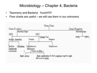 Microbiology – Chapter 4, Bacteria
• Taxonomy and Bacteria: Yucch!!!!!!
• Flow charts are useful – we will use them in our unknowns
 