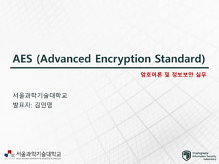 aes encryption system slides of twenty five pages | PDF