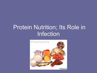 Protein Nutrition; Its Role in Infection 