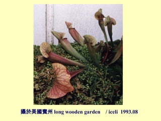ze long wooden garden / iceli 1993.08
 