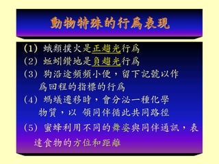 ОF
(1) څО
(2) 荵ؓڅО
(3) ;llС㣬ӛ̖
س̵ָ˵О
(4) ΛρwƕrһNW
| Iͬѭ˹ͬ·
(5) ۷òͬcͬͨӍ
_ʳķλ;x
 