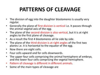 PATTERNS OF CLEAVAGE
• The division of egg into the daughter blastomeres is usually very
regular.
• Generally the plane of first division is vertical i.e. It passes through
the animal vegetal axis of the egg.
• The plane of the second division is also vertical, but it is at right
angles to the first plane of cleavage.
• As a result the first 4 blastomeres all lie side by side.
• The plane of the third division is at right angles of the first two
planes i.e. it is horizontal to the equator of the egg.
• Now there are eight cells.
• Four cells upward and for cells downwards.
• The upper four cells comprising the animal hemisphere of embryo,
and the lower four cells comprising the vegetal hemisphere.
• Pattern of cleavage is different in different animals.
• Some of the main types of cleavage are
 