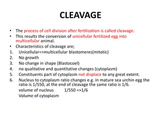 CLEAVAGE
• The process of cell division after fertilization is called cleavage.
• This results the conversion of unicellular fertilized egg into
multicellular animal.
• Characteristics of cleavage are;
1. Unicellular=>multicellular blastomeres(mitotic)
2. No growth
3. No change in shape (Blastocoel)
4. no qualitative and quantitative changes (cytoplasm)
5. Constituents part of cytoplasm not displace to any great extent.
6. Nucleus to cytoplasm ratio changes e.g. in mature sea urchin egg the
ratio is 1/550, at the end of cleavage the same ratio is 1/6.
volume of nucleus 1/550 =>1/6
Volume of cytoplasm
 