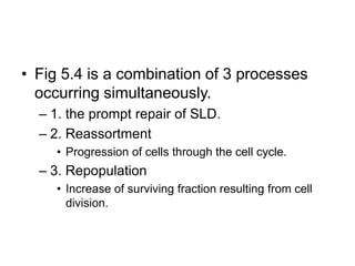 Chap 5 fractionated radiation and the dose rate effect | PPTX