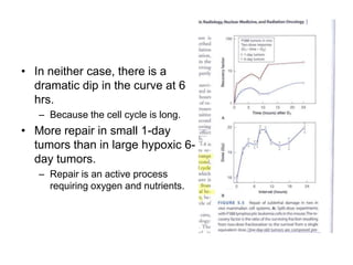 Chap 5 fractionated radiation and the dose rate effect | PPTX