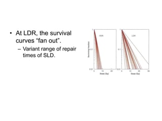 Chap 5 fractionated radiation and the dose rate effect | PPTX