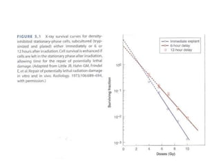 Chap 5 fractionated radiation and the dose rate effect | PPTX