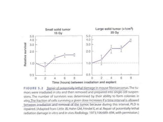 Chap 5 fractionated radiation and the dose rate effect | PPTX