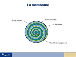 Membrane)
Canal concentrat
Canal perméat
Membrane
Tube collecteur du perméat
La membrane
 