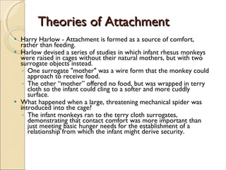 Theories of Attachment Harry Harlow - Attachment is formed as a source of comfort, rather than feeding.   Harlow devised a series of studies in which infant rhesus monkeys were raised in cages without their natural mothers, but with two surrogate objects instead.  One surrogate "mother" was a wire form that the monkey could approach to receive food.  The other “mother” offered no food, but was wrapped in terry cloth so the infant could cling to a softer and more cuddly surface.  What happened when a large, threatening mechanical spider was introduced into the cage?  The infant monkeys ran to the terry cloth surrogates, demonstrating that contact comfort was more important than just meeting basic hunger needs for the establishment of a relationship from which the infant might derive security. 