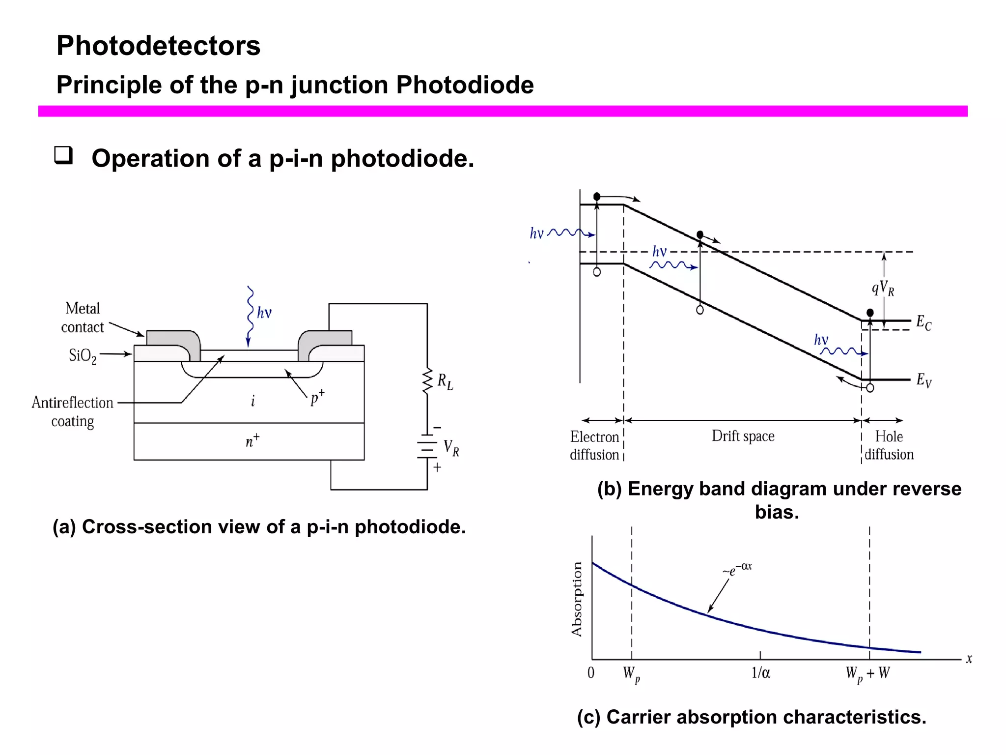 Photodetectors 
Principle of the p-n junction Photodiode 
(b) Energy band diagram under reverse 
bias. 
(a) Cross-section view of a p-i-n photodiode. 
(c) Carrier absorption characteristics. 
 Operation of a p-i-n photodiode. 
 