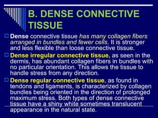 Chap 6 & 11  connective & skeletal