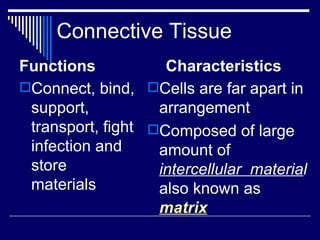 Chap 6 & 11  connective & skeletal