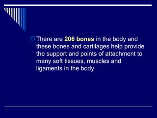 Chap 6 & 11  connective & skeletal