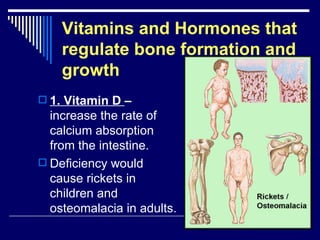 Chap 6 & 11  connective & skeletal