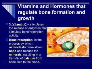 Chap 6 & 11  connective & skeletal