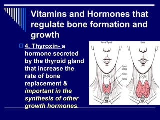Chap 6 & 11  connective & skeletal