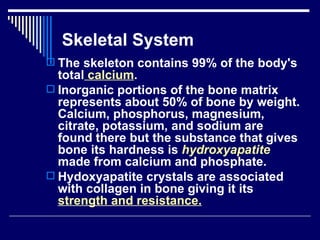 Chap 6 & 11  connective & skeletal
