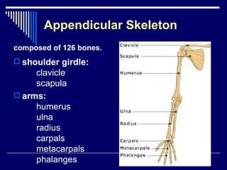 Chap 6 & 11  connective & skeletal