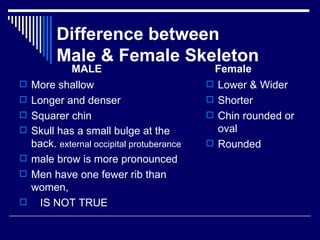 Chap 6 & 11  connective & skeletal