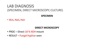 LAB DIAGNOSIS
(SPECIMEN, DIRECT MICROSCOPY, CULTURE)
SPECIMEN
• Skin, Nail, Hair
DIRECT MICROSCOPY
• PROC – Direct 10 % KOH mount
• RESULT – Fungal hyphae seen
 