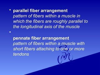 Chap 6 "Human Biomechanics: Skeletal Muscles" | PPTX