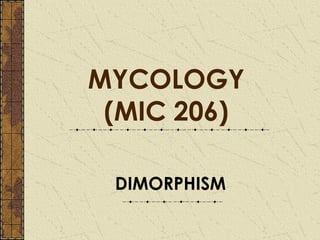 MYCOLOGY
 (MIC 206)

 DIMORPHISM
 