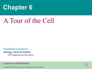 Chapter 6

A Tour of the Cell


PowerPoint Lectures for
Biology, Seventh Edition
       Neil Campbell and Jane Reece



Lectures by Chris Romero
Copyright © 2005 Pearson Education, Inc. publishing as Benjamin Cummings
 